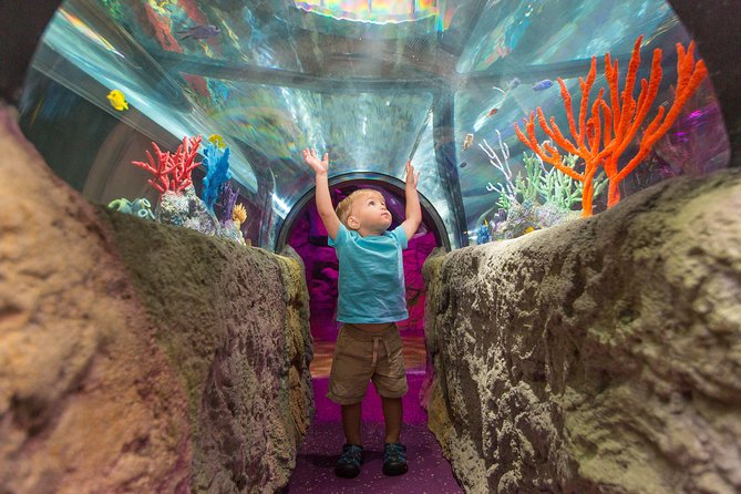 SEA LIFE Kansas City Aquarium Admission Ticket - Meeting and Pickup Details