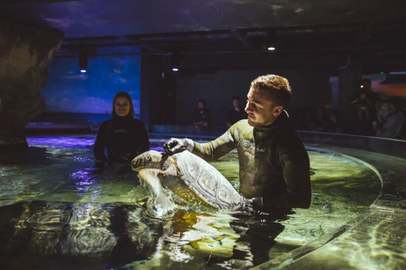 Sea Life Kelly Tarltons Aquarium General Admission - Key Points