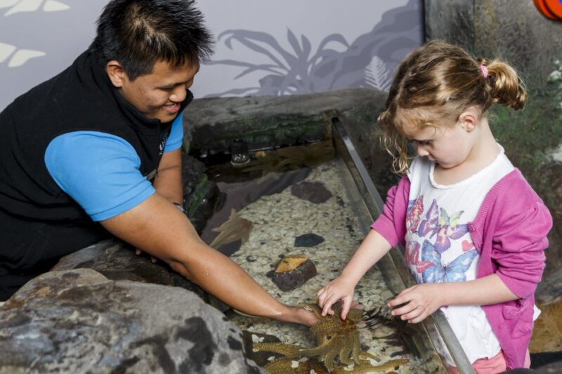 Sea Life Kelly Tarltons Aquarium General Admission - Customer Reviews and Ratings