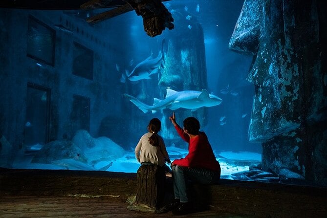 SEA LIFE London Aquarium Admission Ticket - Tips for a Better Visit