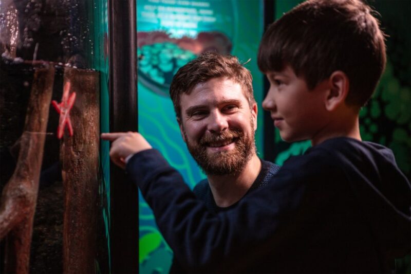 SEA LIFE London & DreamWorks Shreks Adventure: Combo Ticket - SEA LIFE London Highlights