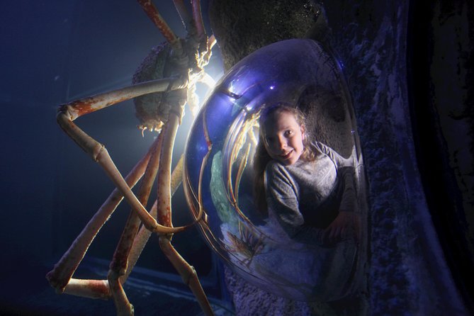 SEA LIFE Manchester Admission Ticket - Guaranteed Admission and Flexibility