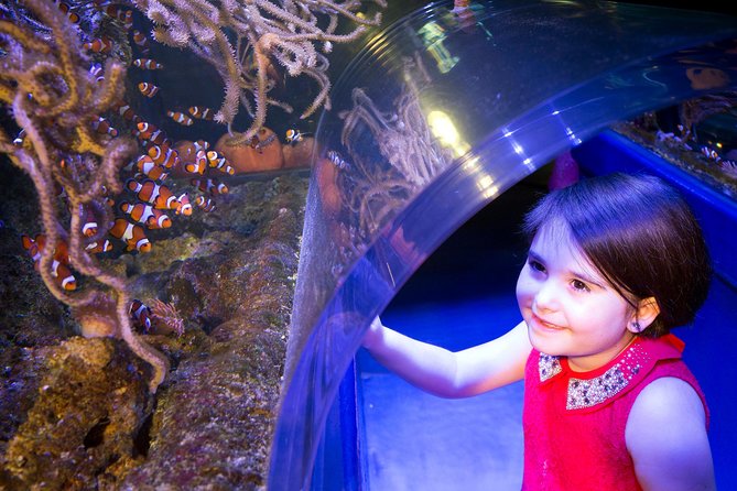 SEA LIFE Manchester Admission Ticket - Souvenir Photos Available