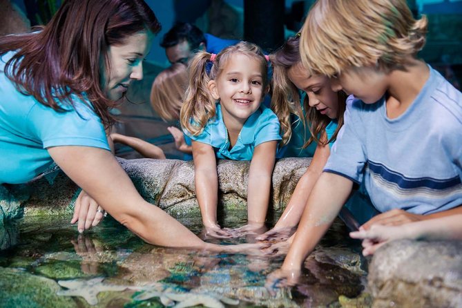 SEA LIFE Manchester Admission Ticket - Customer Reviews and Ratings