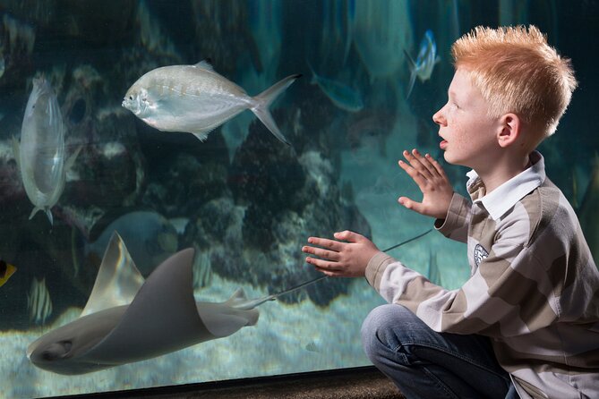 SEA LIFE Michigan Aquarium Admission Ticket - Location and Directions