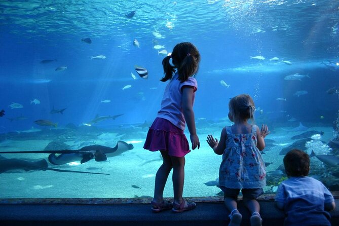 SEA LIFE Munich Admission Ticket - Good To Know