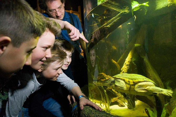SEA LIFE Munich Admission Ticket - Aquarium Features