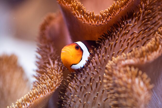 SEA LIFE Munich Admission Ticket - Reviews Overview