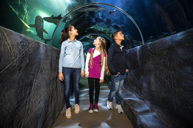 SEA LIFE Munich Admission Ticket - Accessibility and Accommodations