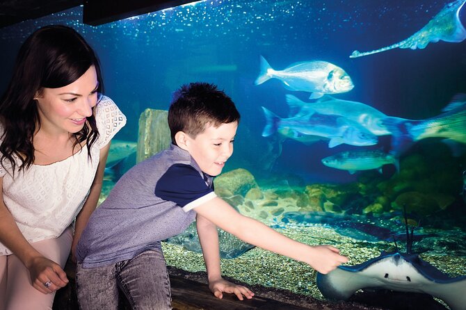 SEA LIFE Munich Admission Ticket - Facilities and Amenities