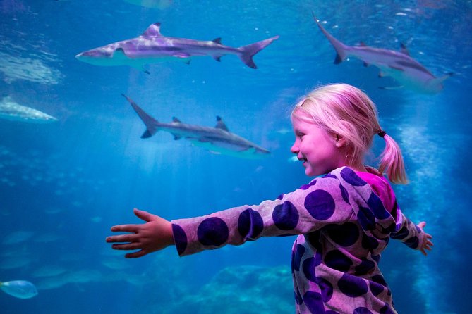 SEA LIFE Oberhausen Admission Ticket - Reviews and Cancellation Policy