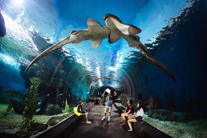 SEA LIFE Ocean World in Bangkok Admission Ticket - Admission Ticket Options