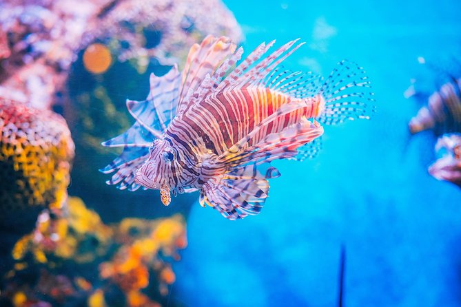 SEA LIFE Ocean World in Bangkok Admission Ticket - Visitor Information