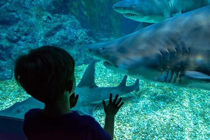 SEA LIFE Ocean World in Bangkok Admission Ticket - Additional Details