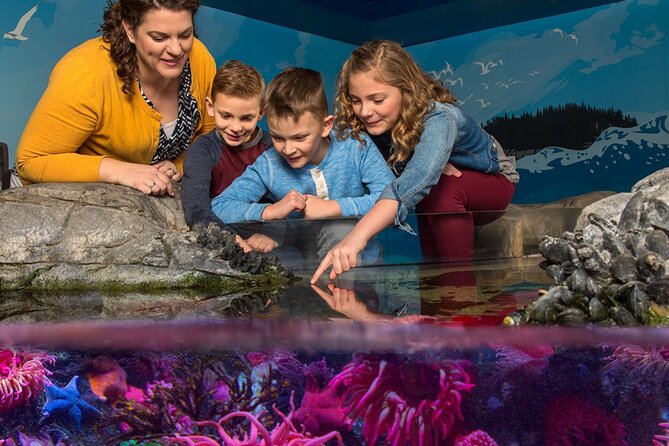 SEA LIFE Orlando Aquarium - Immersive Ocean Experiences