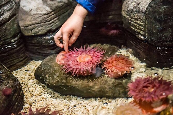 SEA LIFE Orlando Aquarium - Booking and Cancellation Policy
