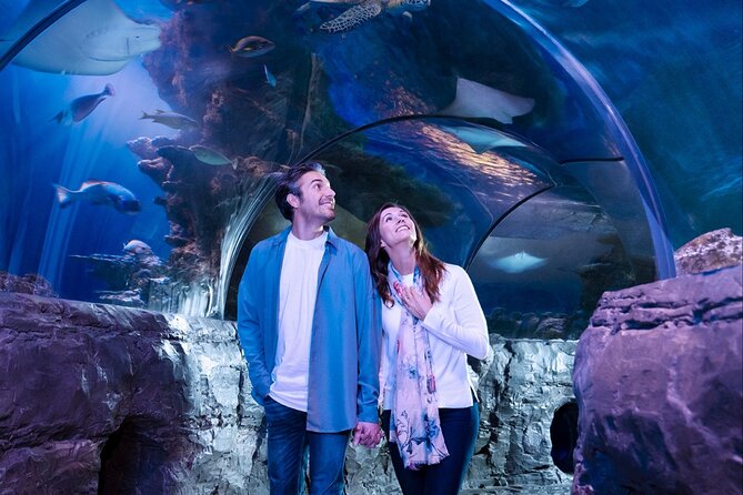 SEA LIFE Orlando Aquarium - Location and Transportation