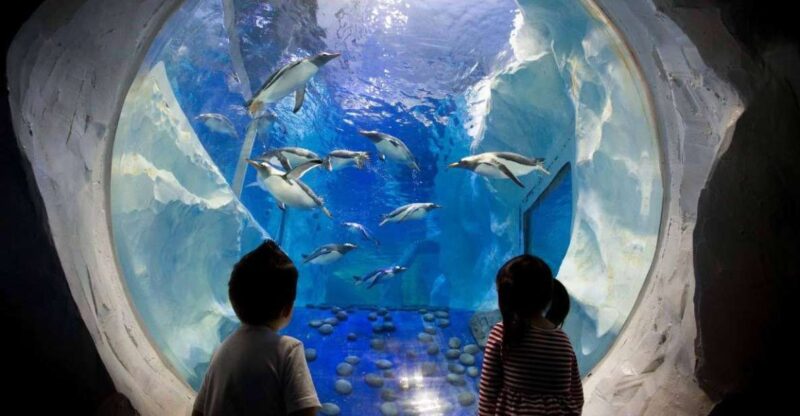 SEA LIFE Paris: Admission Ticket - Themed Zones Exploration