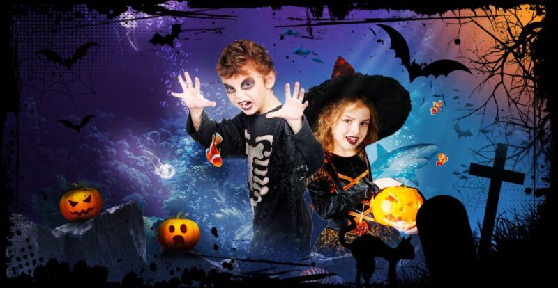 SEA LIFE Paris: Admission Ticket - Captivating Creatures