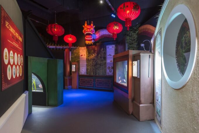 SEA LIFE Paris: Admission Ticket - Accessibility and Logistics