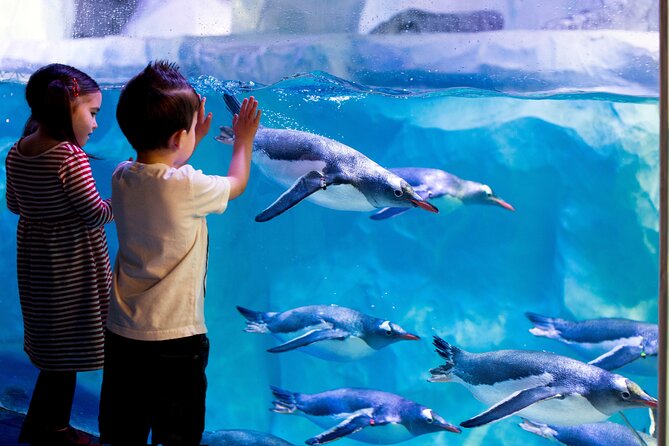 SEA LIFE Paris Val Deurope Aquarium Entry Ticket - Visitor Feedback