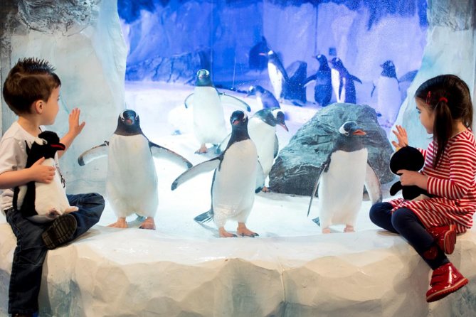 SEA LIFE Paris Val Deurope Aquarium Entry Ticket - Nearby Transportation Options