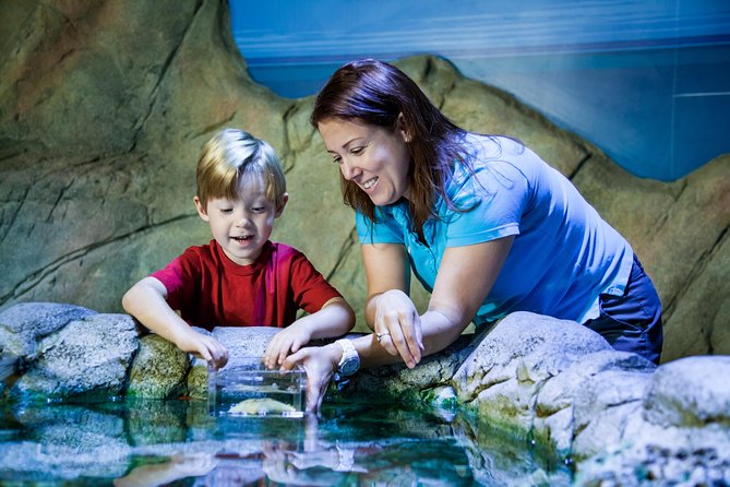 SEA LIFE Paris Val Deurope Aquarium Entry Ticket - Accessibility for Visitors