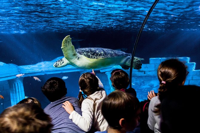 SEA LIFE Porto Entrance Ticket - Ticket Purchase and Pricing