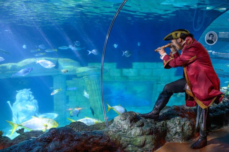 SEA LIFE Porto Full-Day Entrance Ticket - Attractions Overview