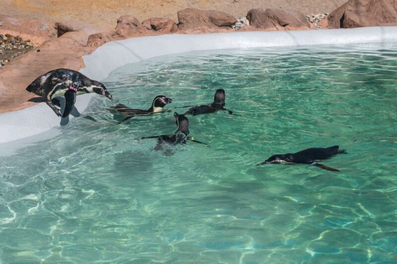 SEA LIFE Porto Full-Day Entrance Ticket - Onsite Amenities
