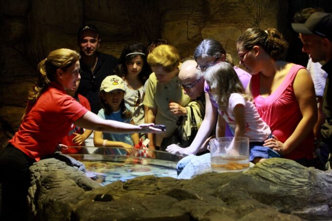 SEA LIFE Porto Full-Day Entrance Ticket - Location and Directions