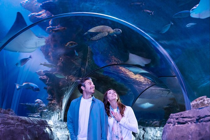 SEA LIFE San Antonio Admission Ticket - Interactive Exhibits and Experiences