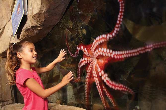 SEA LIFE San Antonio Admission Ticket - Customer Reviews and Feedback