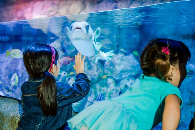 SEA LIFE San Antonio Admission Ticket - Highlights and Notable Features