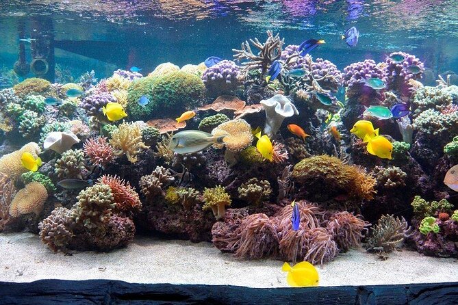 SEA LIFE Speyer Admission Ticket - Accessibility and Facilities