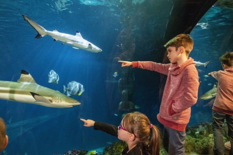 Sea Life Speyer Ticket - Key Points