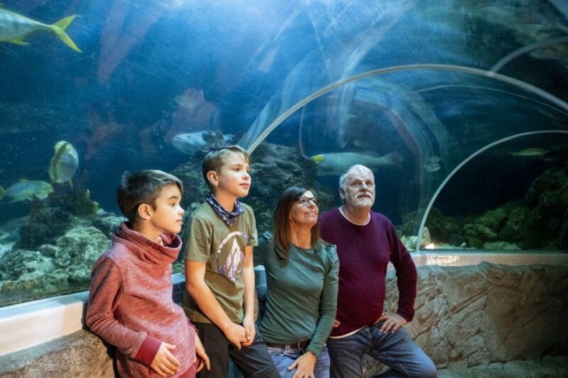 Sea Life Speyer Ticket - Visitor Information