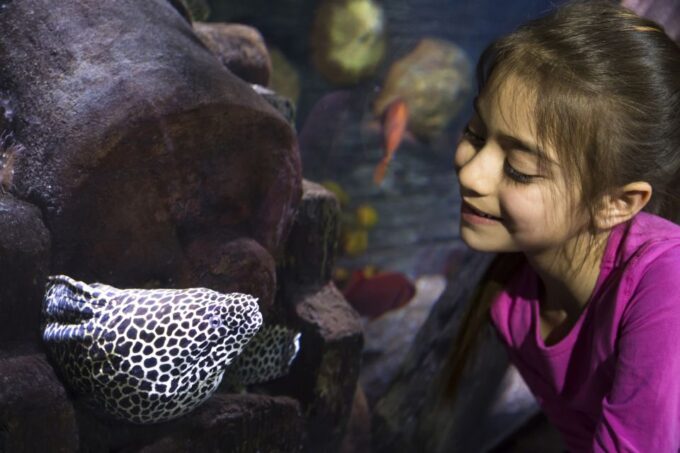 Sea Life Speyer Ticket - Reserve Now & Pay Later