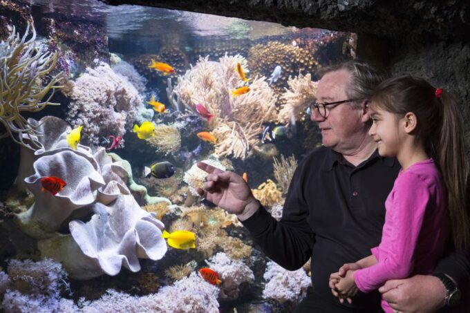 Sea Life Speyer Ticket - Frequently Asked Questions