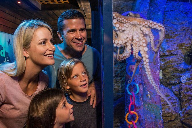 SEA LIFE Sunshine Coast Aquarium Entrance Ticket - What to Expect from Your Visit to SEA LIFE Sunshine Coast Aquarium