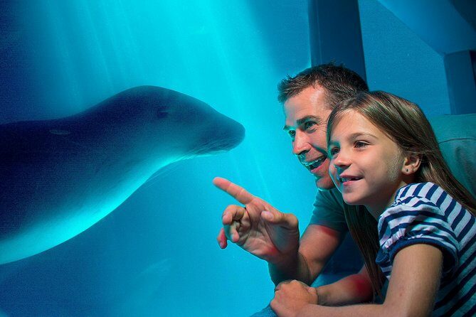 SEA LIFE Sunshine Coast Aquarium Entrance Ticket - Who Will Love This Aquarium?