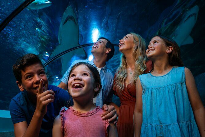SEA LIFE Sunshine Coast Aquarium Entrance Ticket - Frequently Asked Questions