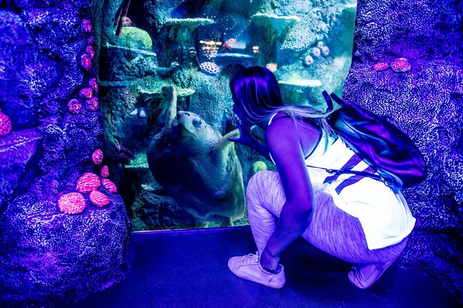 SEA LIFE Sydney Aquarium Entrance Ticket - Nearby Attractions