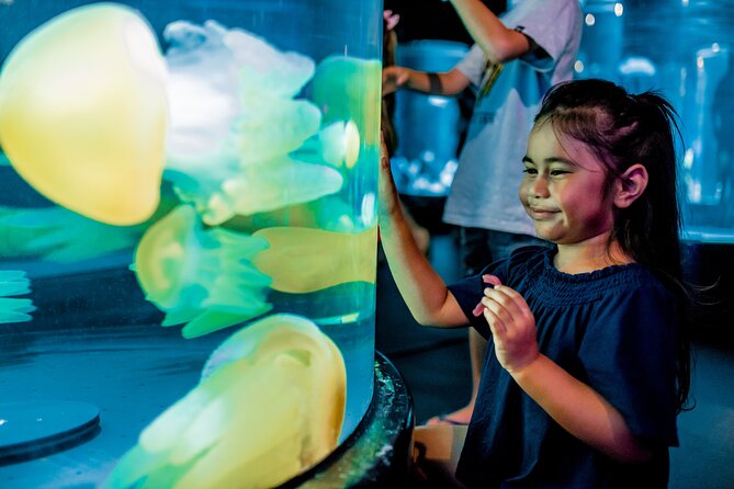 SEA LIFE Sydney Aquarium Entrance Ticket - Planning Your Visit
