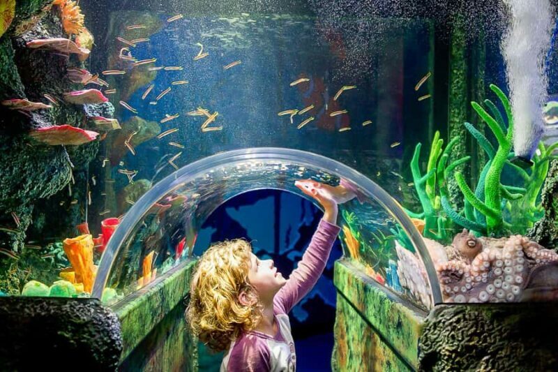 SEA LIFE Sydney Aquarium Entry Ticket - Key Points