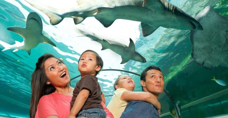 SEA LIFE Sydney Aquarium - Key Points