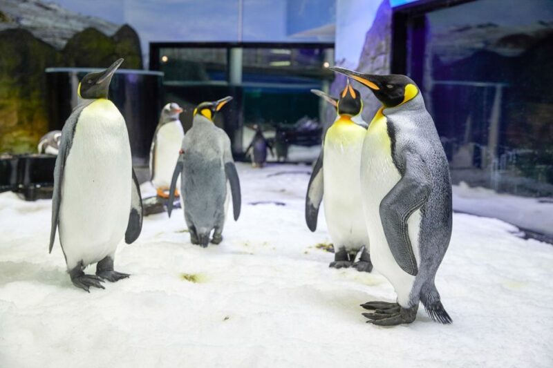 SEA LIFE Sydney Aquarium - Customer Ratings and Reviews