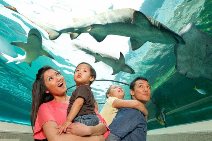 SEA LIFE Sydney Aquarium - Unique Experiences