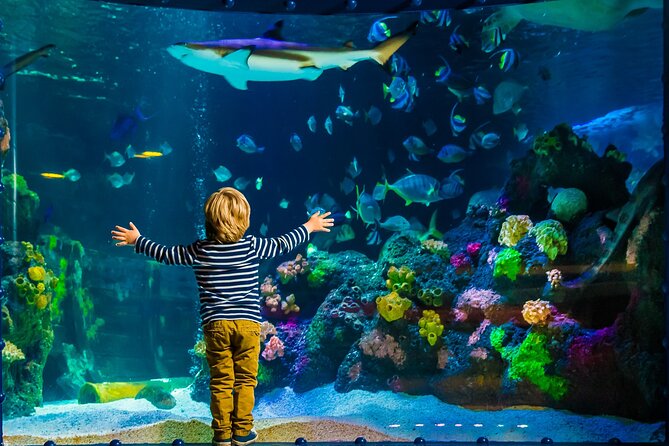 SEA LIFE Timmendorfer Strand Admission Ticket - Admission and Amenities