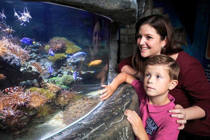 SEA LIFE Timmendorfer Strand Admission Ticket - Recommendations